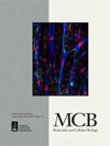 MOLECULAR AND CELLULAR BIOLOGY封面